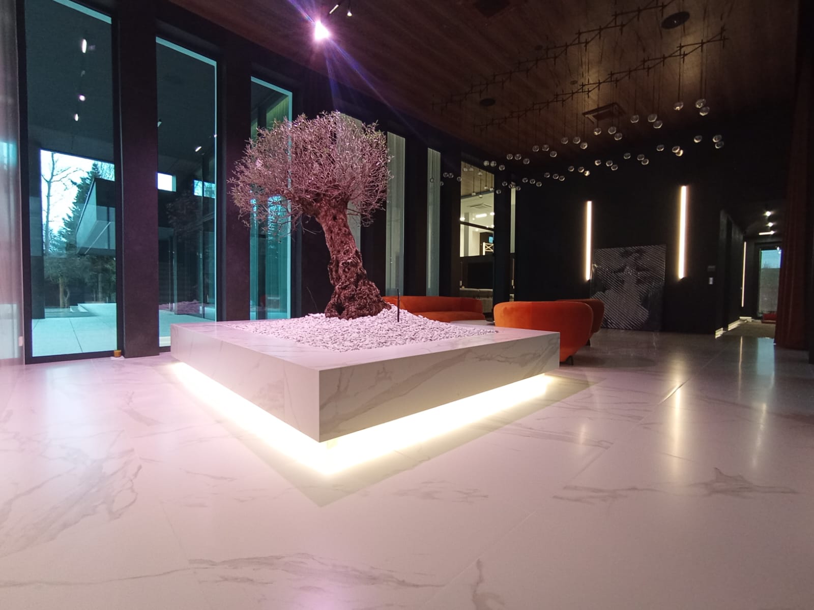 WhatsApp Image 2025-01-31 at 15.22.40 (3)